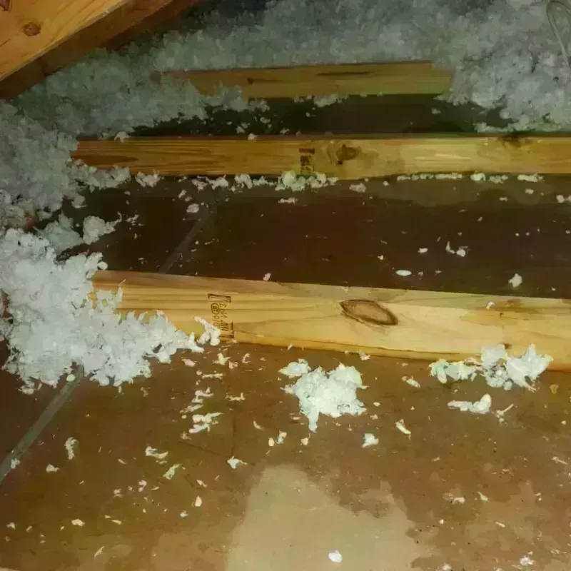 Attic Water Damage in Saint Francis, KS