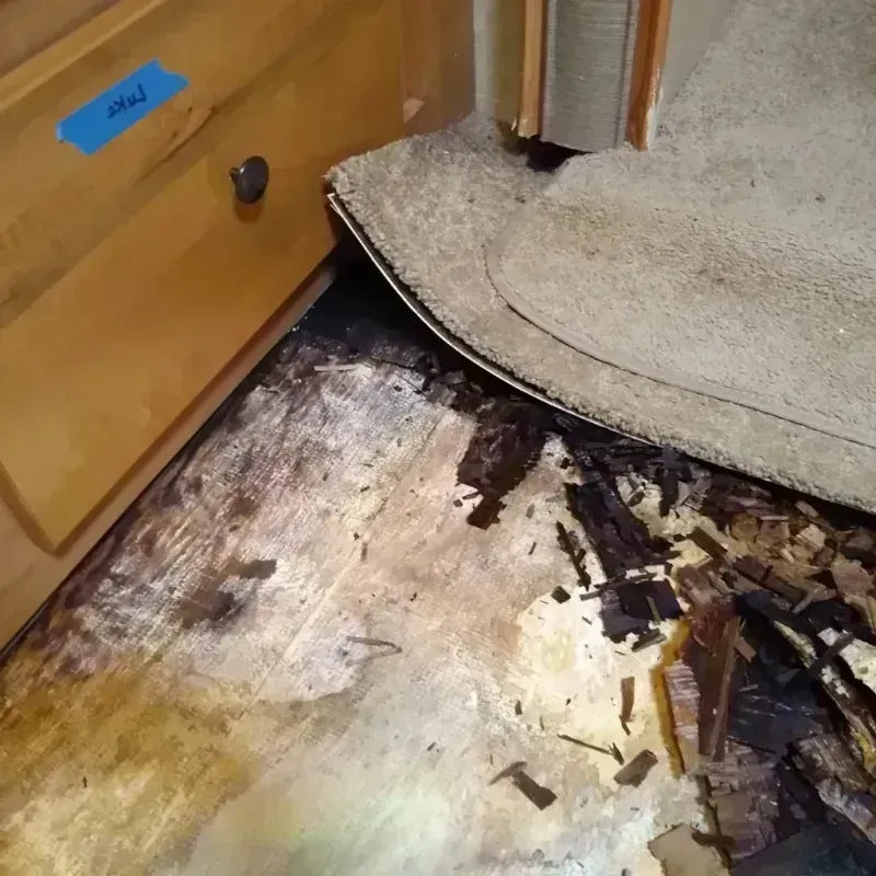 Best Wood Floor Water Damage Service in Saint Francis, KS